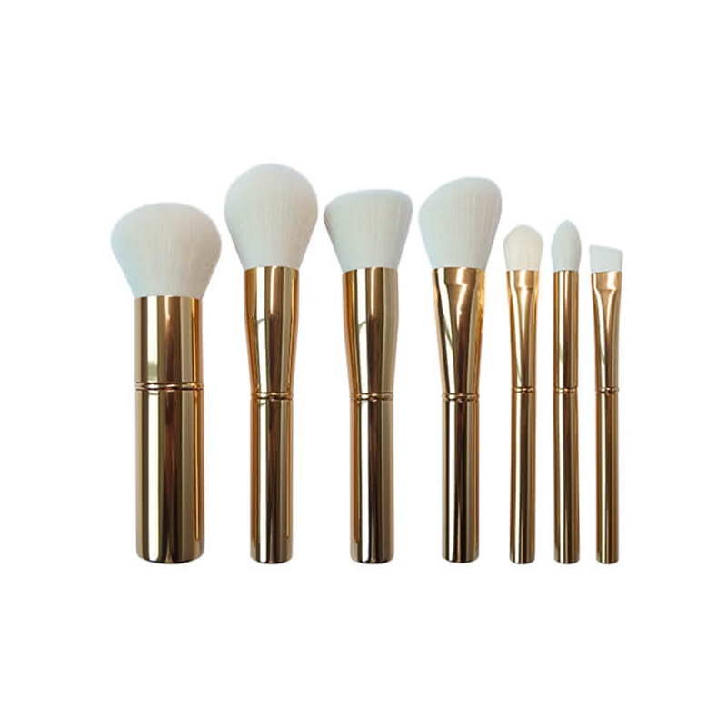 professional brush makeup set